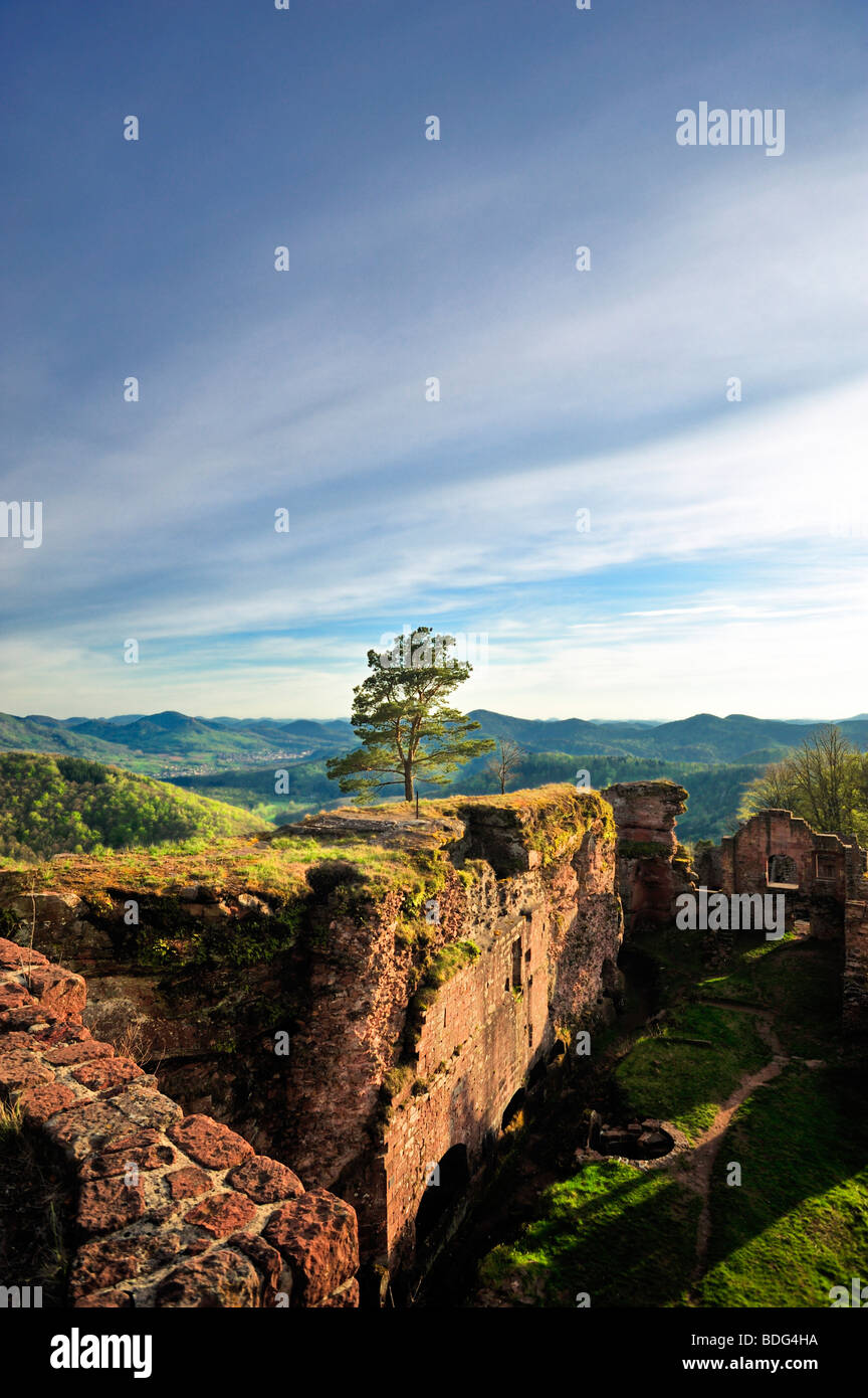 Ruines du château de Neuscharfeneck avec vue panoramique de la forêt Palatine, Naturpark Pfaelzerwald nature reserve, Palatinat, Rhin Banque D'Images