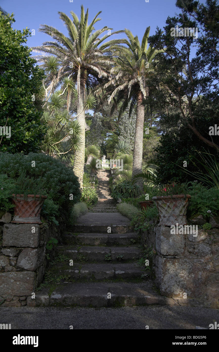 Palmiers et de granite étapes menant à buste de Zeus à l'abbaye de Tresco Jardins Îles Scilly Cornwall UK début novembre Banque D'Images