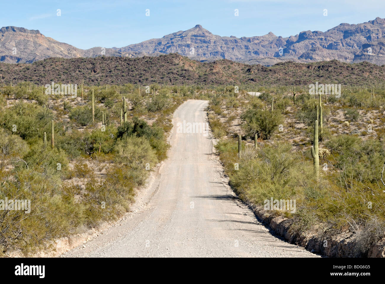 Route de gravier, tuyau d'Orgue Monument National Cactus, le sud de l'Arizona, USA Banque D'Images