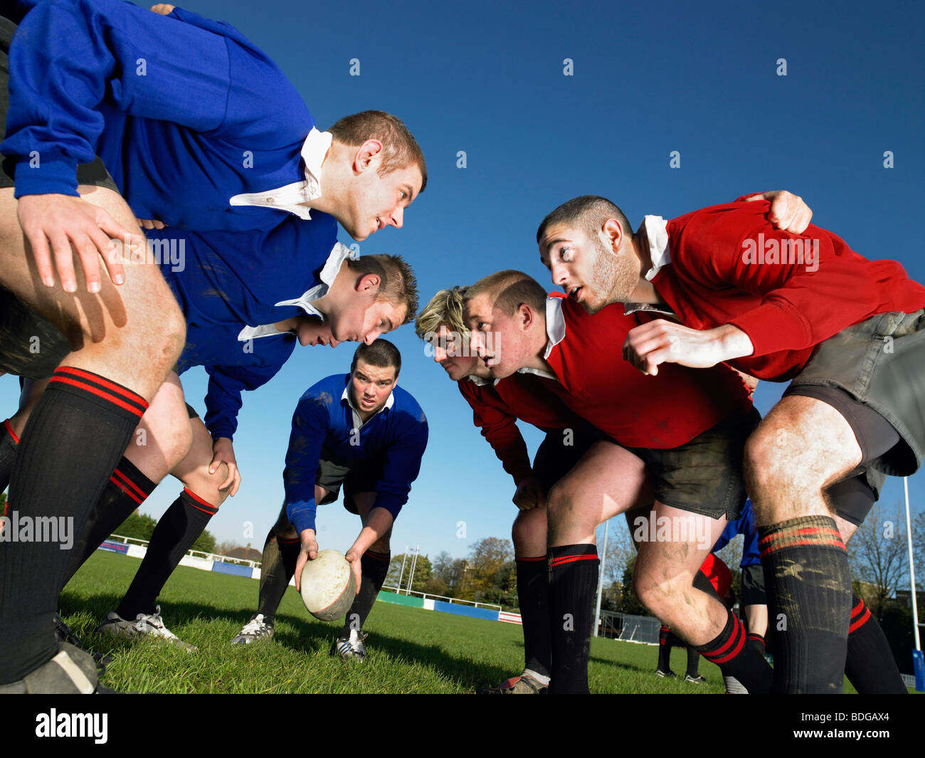 Les joueurs dans une mêlée de Rugby Photo Stock Alamy