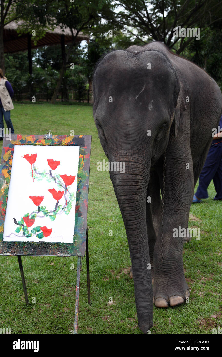 La Thaïlande, l'éléphant, peinture, Banque D'Images La Thaïlande, l'éléphant, peinture, Banque D'Images