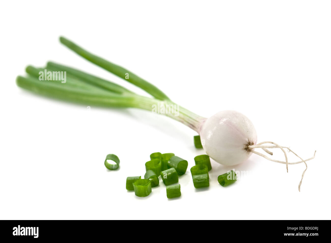 Oignon vert isolated on white Banque D'Images