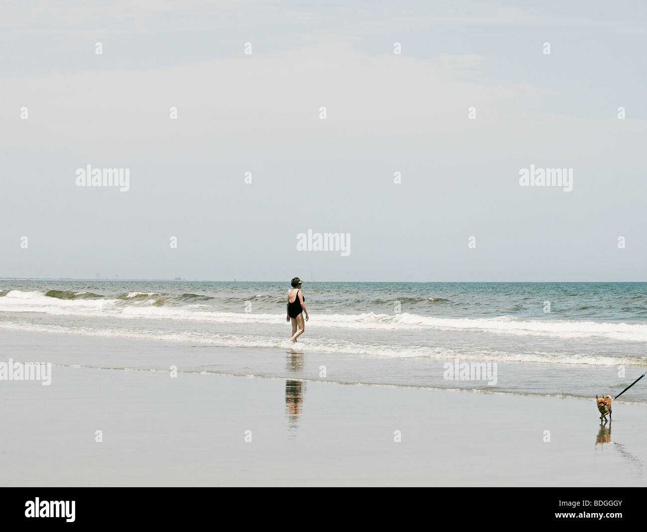 Vieille femme entre dans la mer en Floride, tandis que les petites promenades pour chien dans le châssis Banque D'Images