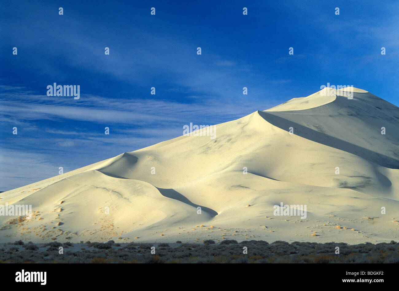 Vallée Eureka Dunes, les plus hautes dunes de sable peut-être en Amérique du Nord ; Death Valley National Park, en Californie. Banque D'Images