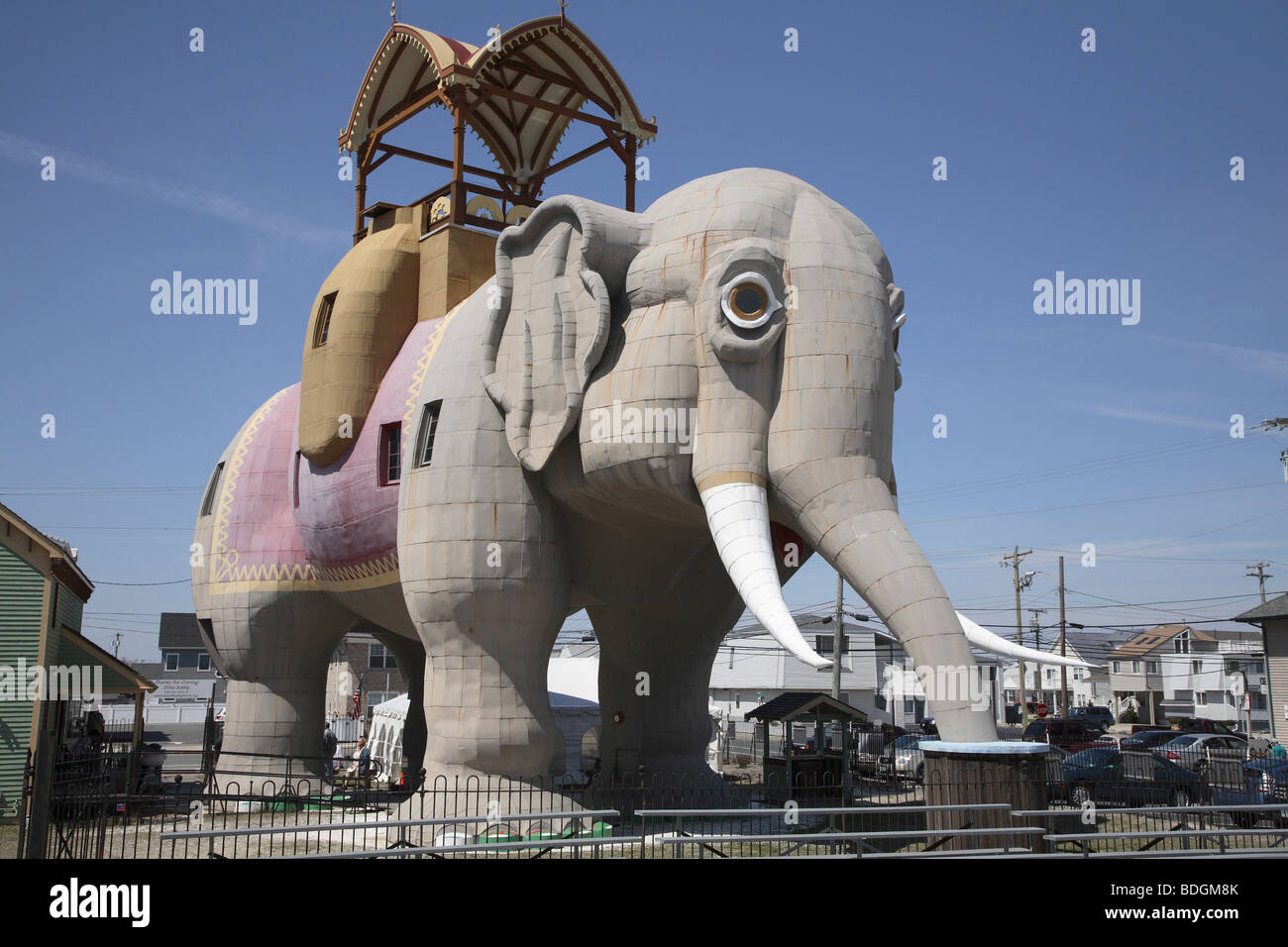 Lucy l'éléphant de l'avant et du côté gauche. Banque D'Images