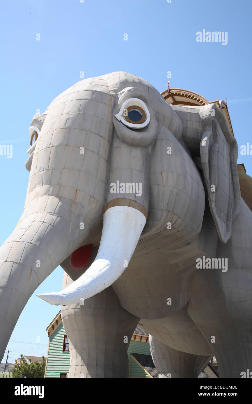 Tête et ventre mou de Lucy l'éléphant. Banque D'Images