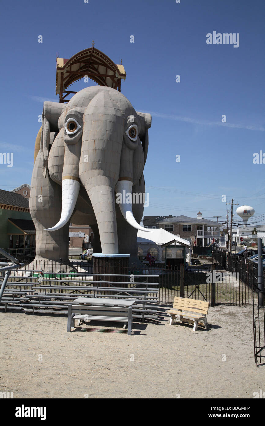 Lucy l'Éléphant de directement en face. Banque D'Images