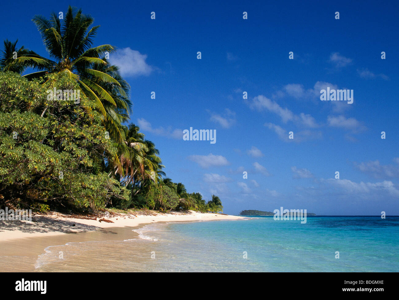 Îles Marshall, Micronésie : Plage et palmiers sur Calalin Island, un "Picnic Island' sur l'atoll de Majuro. Banque D'Images