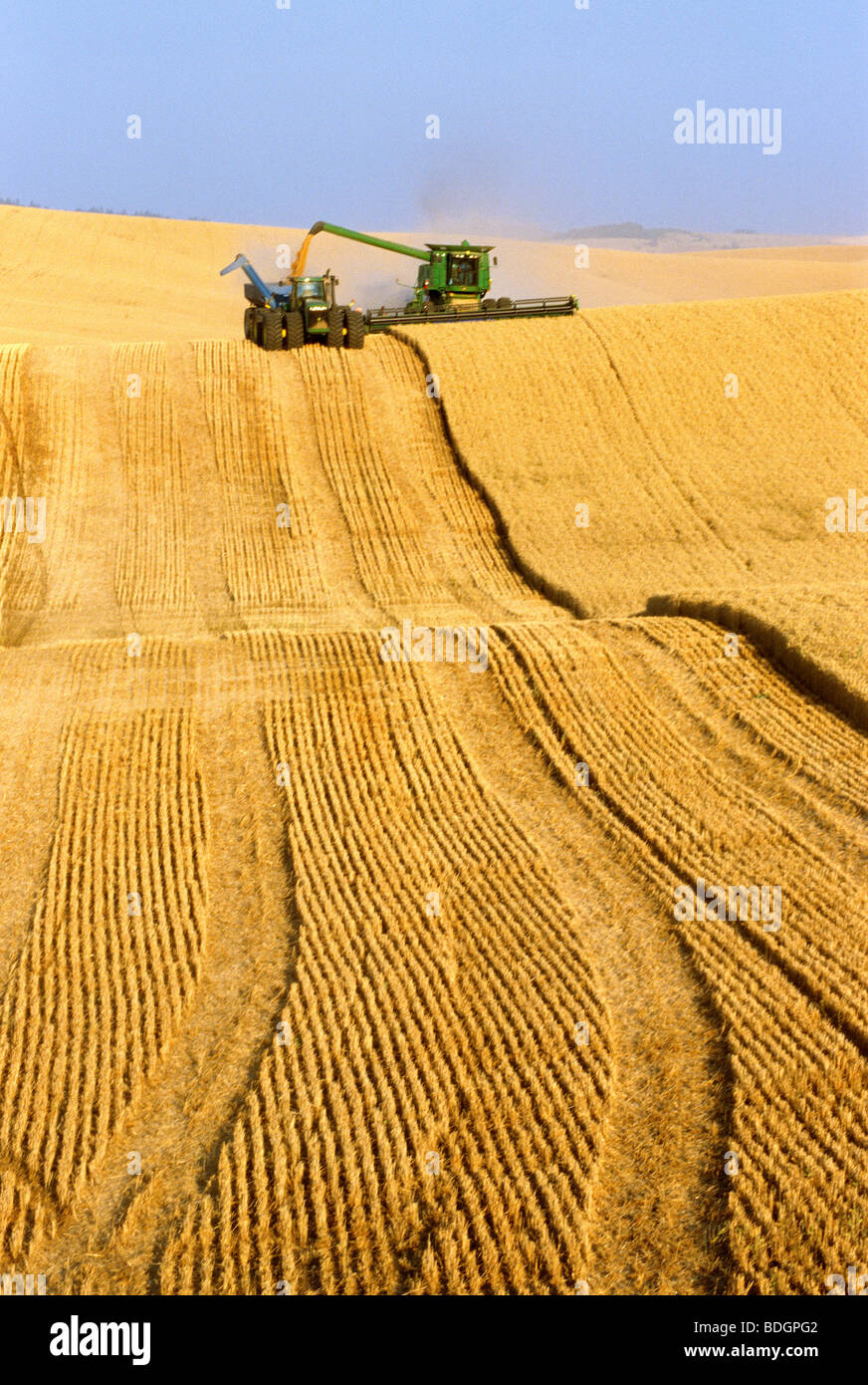 Une moissonneuse-batteuse John Deere sur les récoltes de blé tendre blanc de terrain et décharge l'océan Indien dans un wagon de grain "à la volée" / USA. Banque D'Images