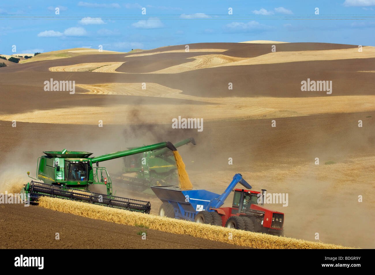 Une moissonneuse-batteuse John Deere sur les récoltes de blé tendre blanc de terrain et décharge l'océan Indien dans un wagon de grain "à la volée" / USA. Banque D'Images