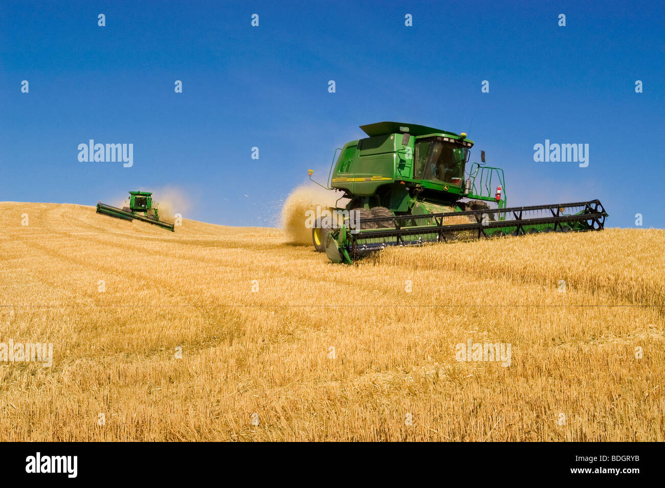 Agriculture - deux moissonneuses-batteuses John Deere récolter le blé tendre blanc sur le terrain l'océan indien / près de Pullman, Washington, USA. Banque D'Images