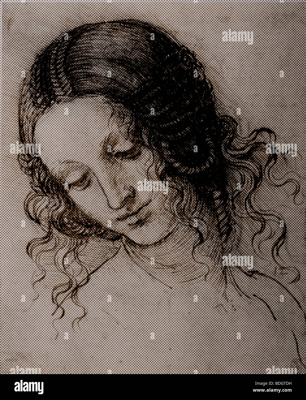 Étude de la tête de Léda par Leonardo da Vinci modèle de demi-teinte Banque D'Images