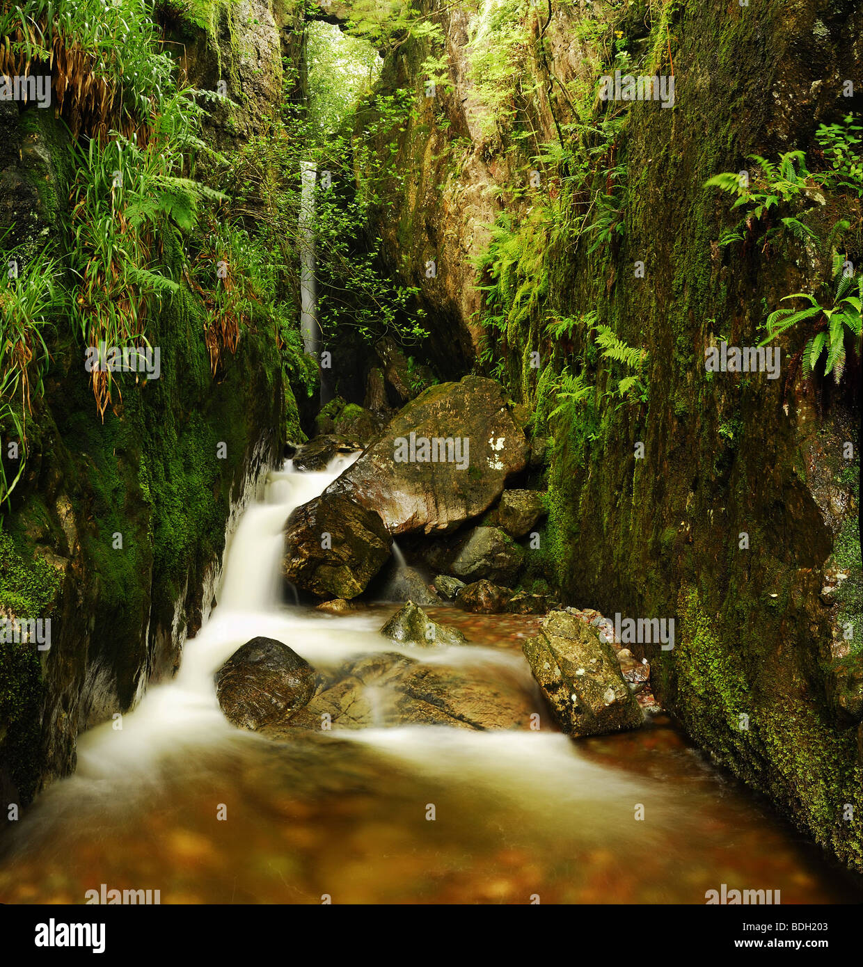 Dungeon Ghyll vigueur cascade à Great Langdale dans le Lake District Banque D'Images