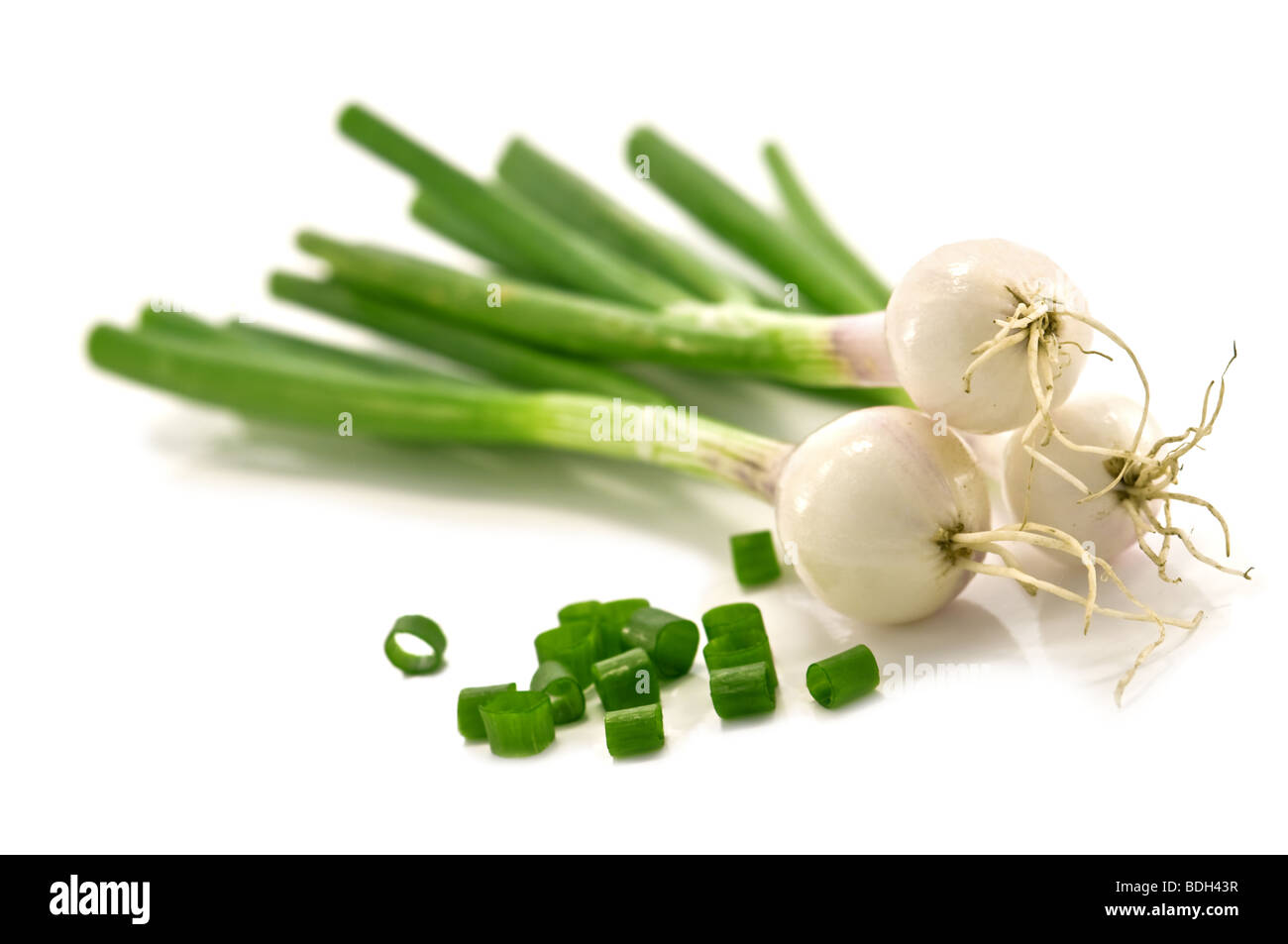 Oignon vert isolated on white Banque D'Images Oignon vert isolated on white Banque D'Images