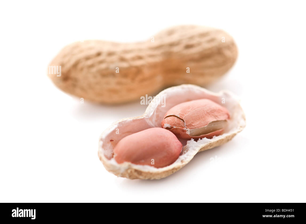 Peanut isolated on white Banque D'Images