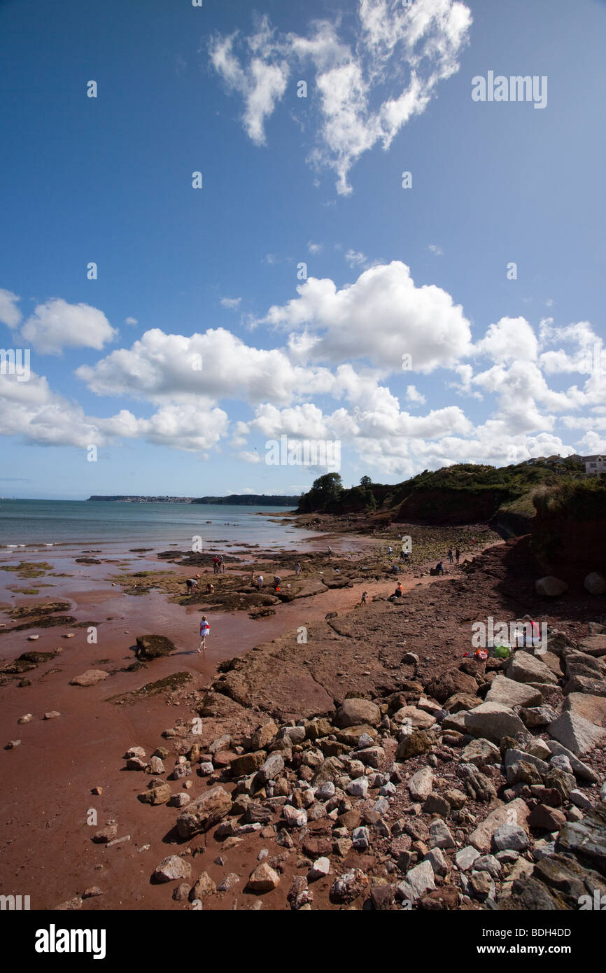 La plage et l'estran au Musée, dans le sud du Devon. Banque D'Images