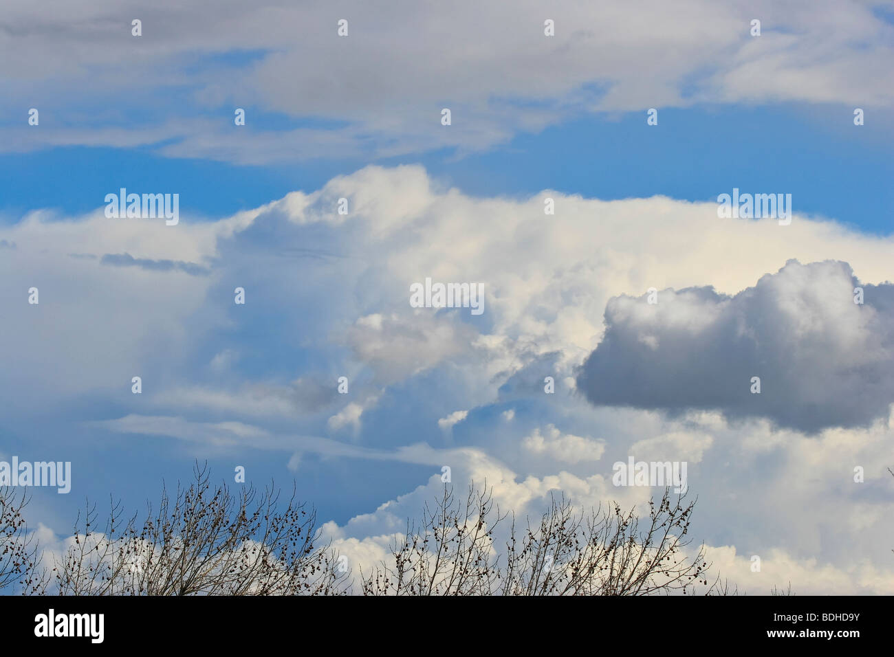 Ciel, nuages, bleu, blanc Banque D'Images