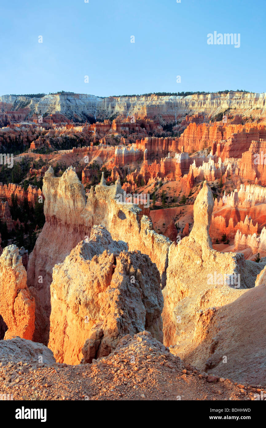 Le Parc National de Bryce Canyon dans l'Utah USA Banque D'Images