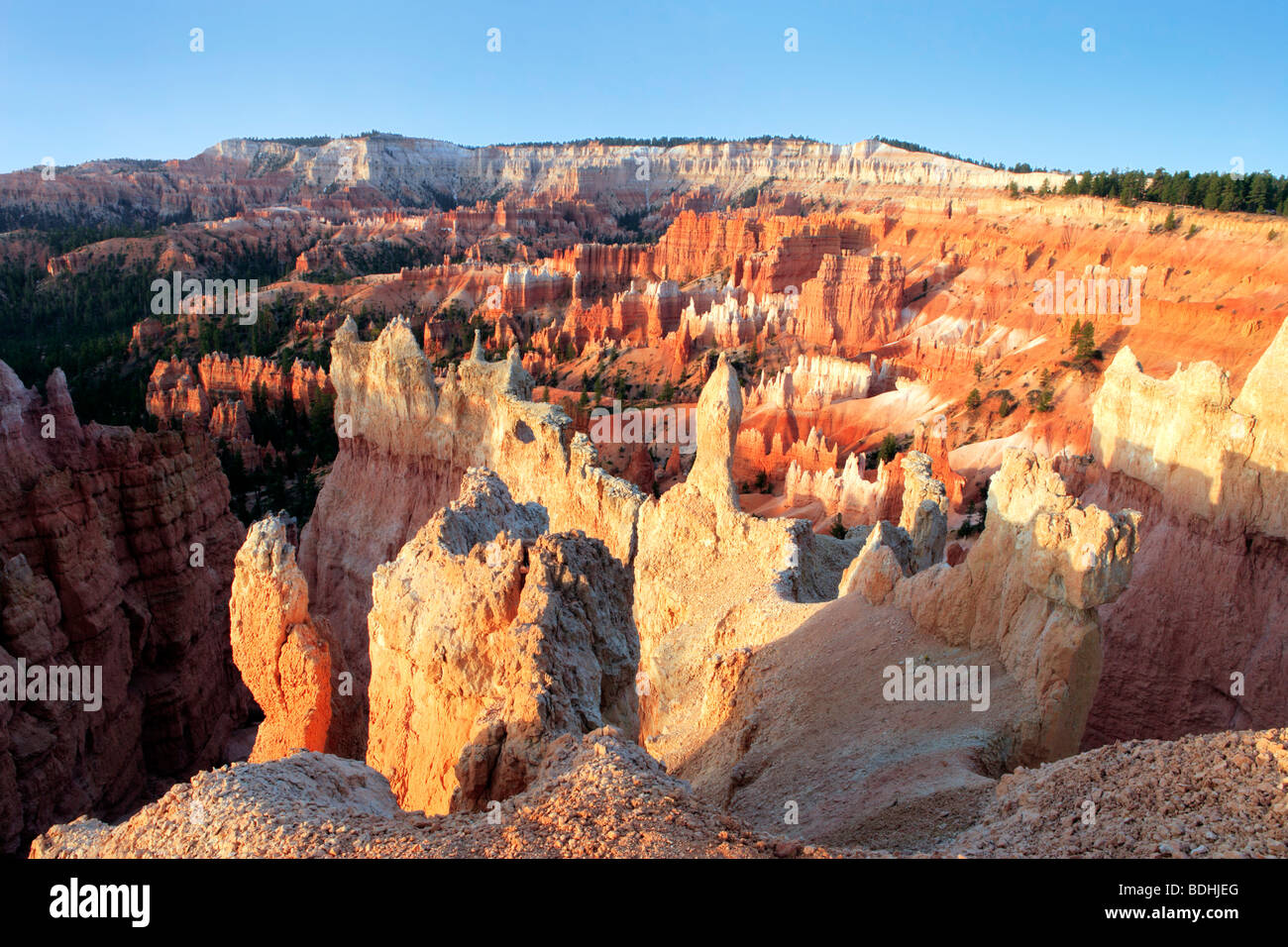 Le Parc National de Bryce Canyon dans l'Utah USA Banque D'Images