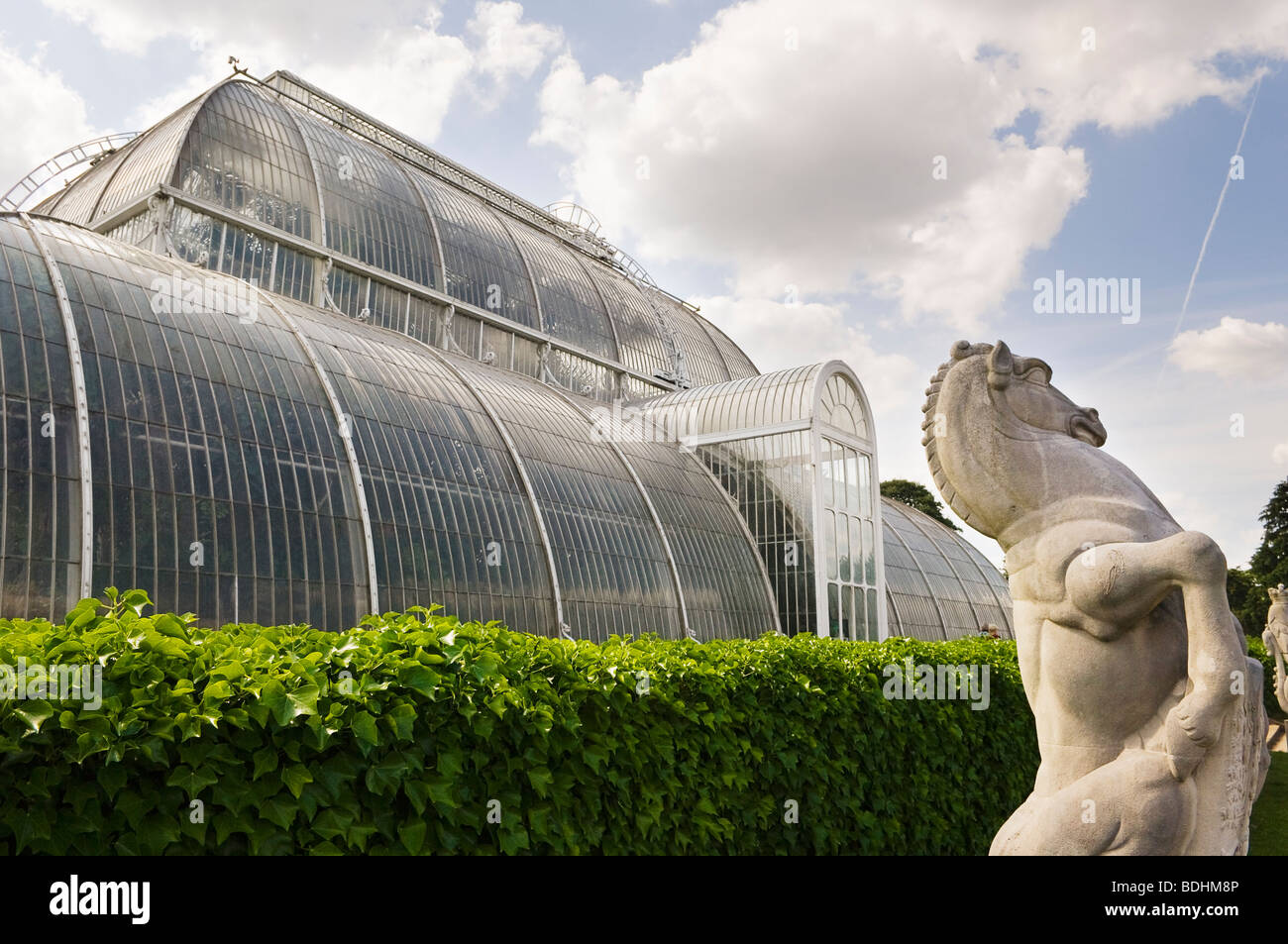 Statue de cheval en face de Palm House à Kew Gardens. Banque D'Images