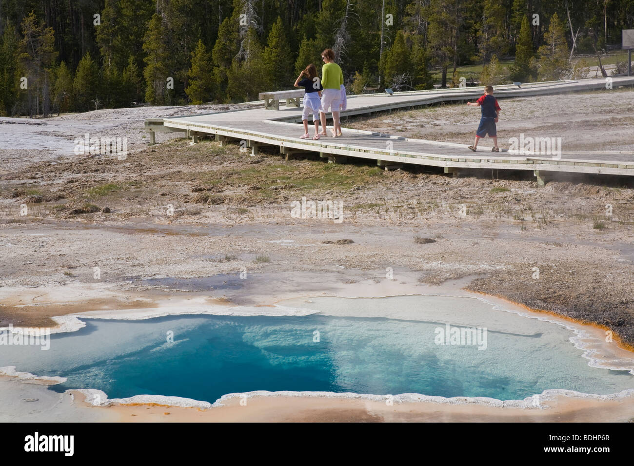 Upper Geyser Basin dans le Parc National de Yellowstone au Wyoming USA Banque D'Images