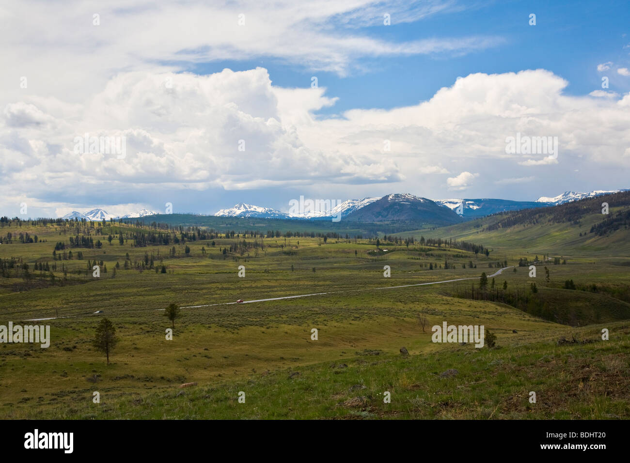 Décor dans la partie nord du Parc National de Yellowstone au Wyoming USA Banque D'Images