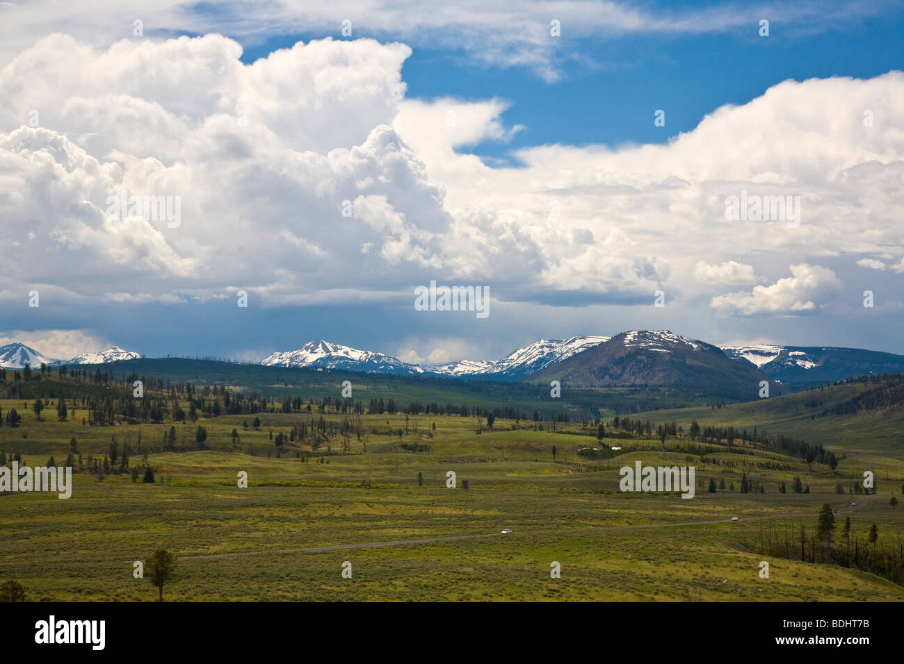 Décor dans la partie nord du Parc National de Yellowstone au Wyoming USA Banque D'Images