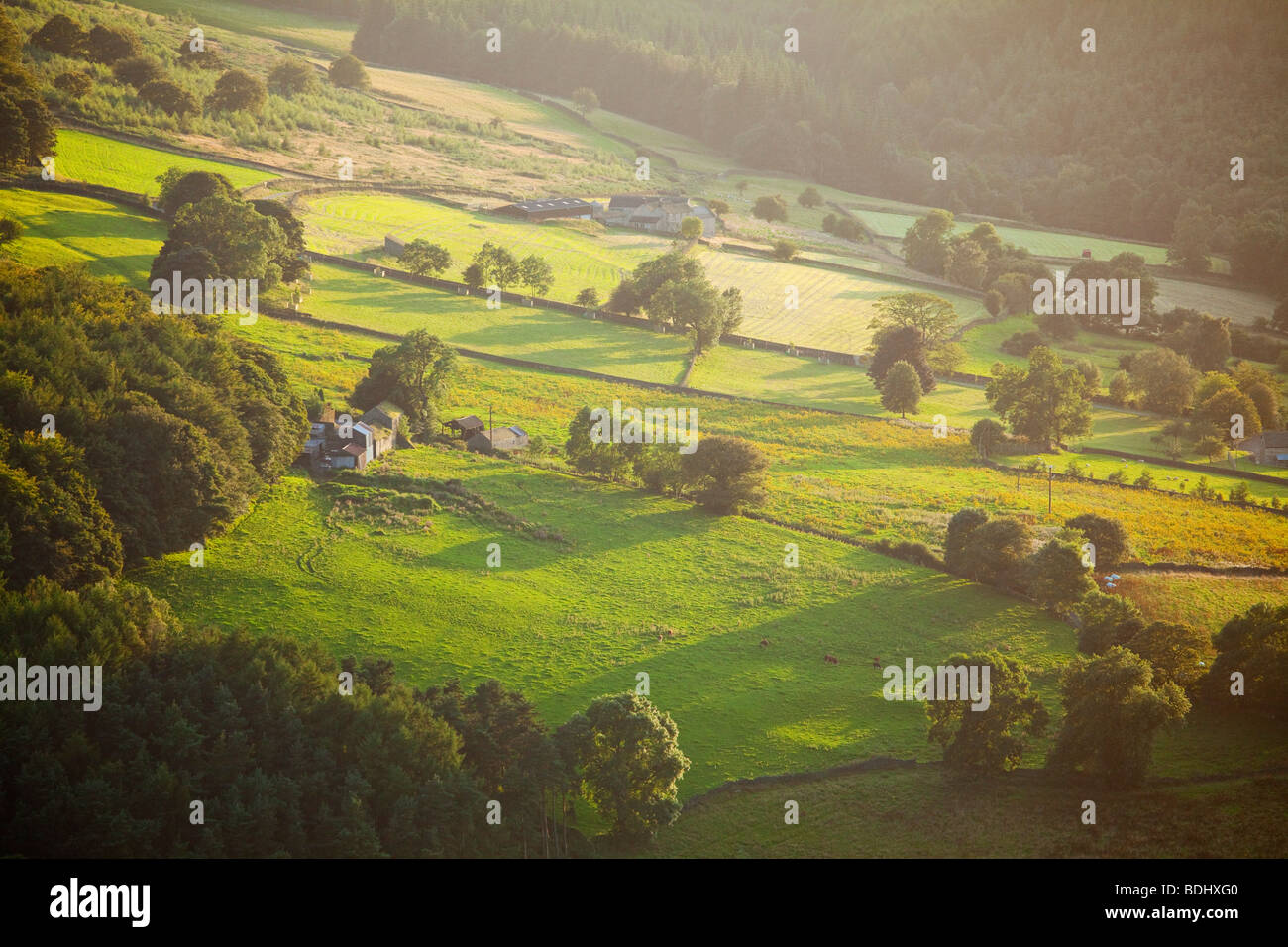 Lumière du soir sur les collines à l'extérieur de Hathersage dans le parc national de Peak District, Derbyshire, Angleterre, Royaume-Uni Banque D'Images