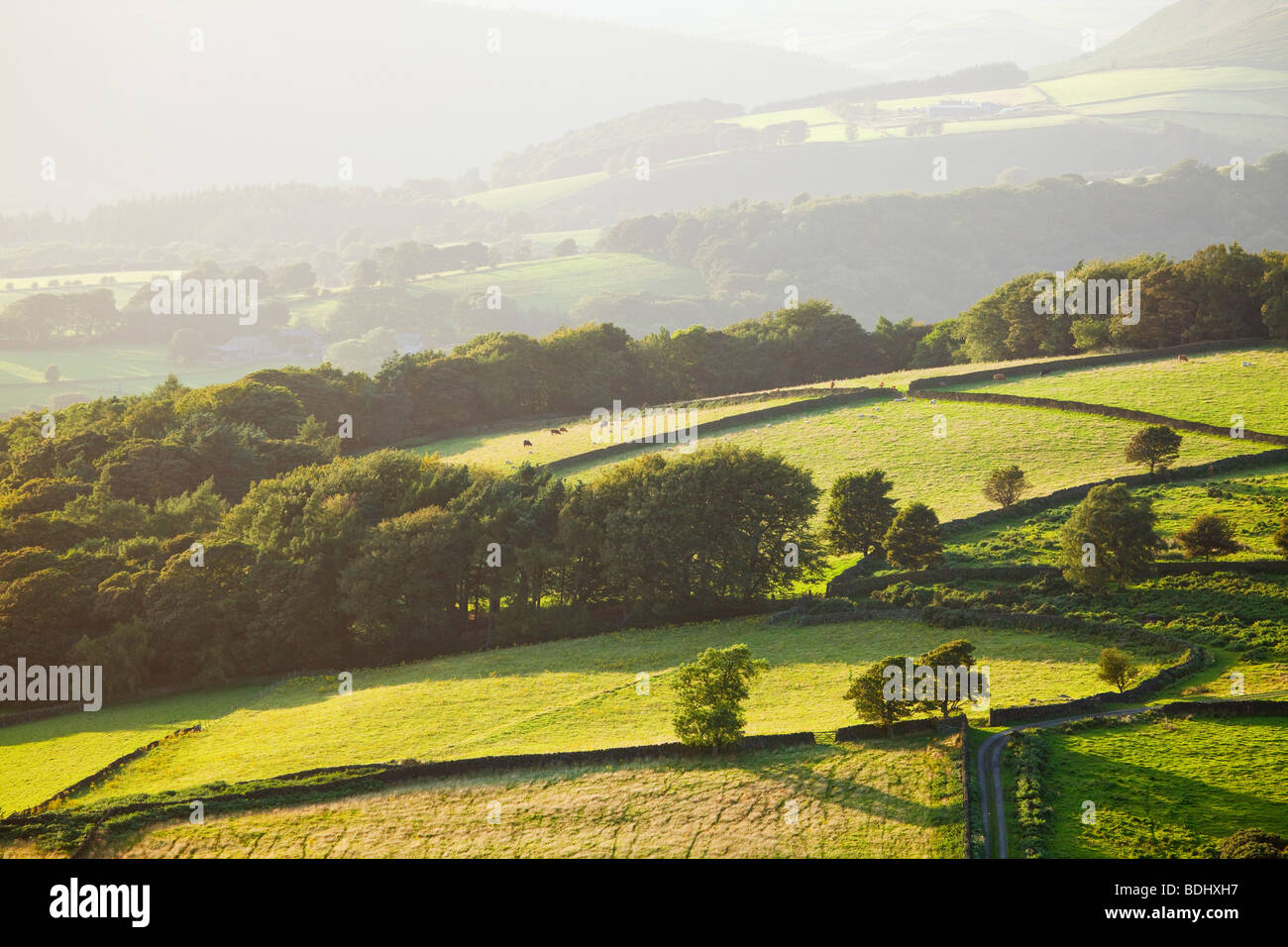 Lumière du soir sur les collines à l'extérieur de Hathersage dans le parc national de Peak District, Derbyshire, Angleterre, Royaume-Uni Banque D'Images