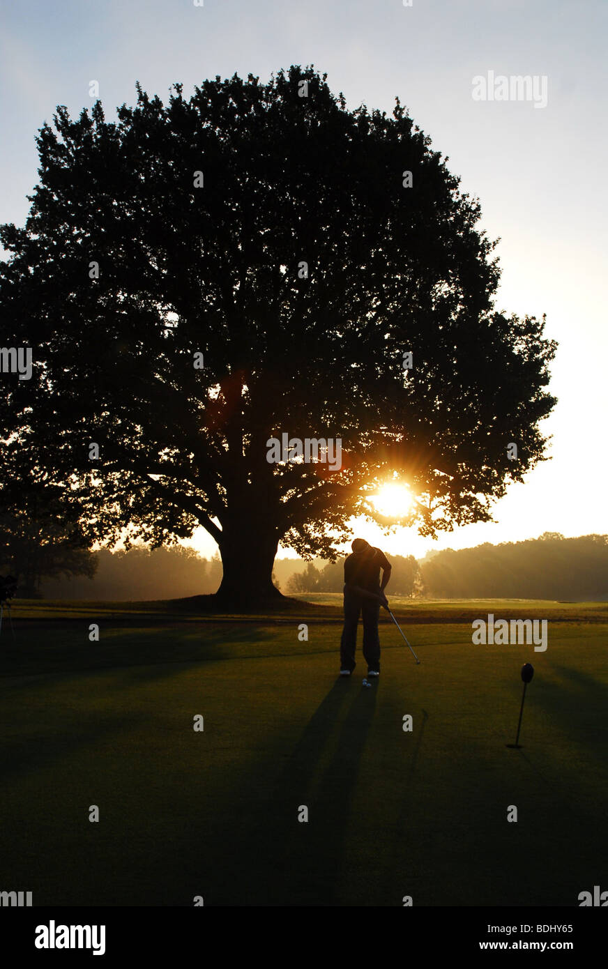 Golfer au lever du soleil Banque D'Images
