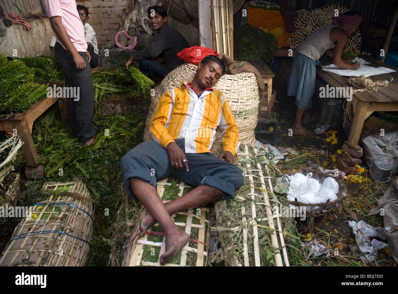 Marché aux Fleurs de Mullick Ghaat, Kolkata, West Bengala, Inde. Banque D'Images