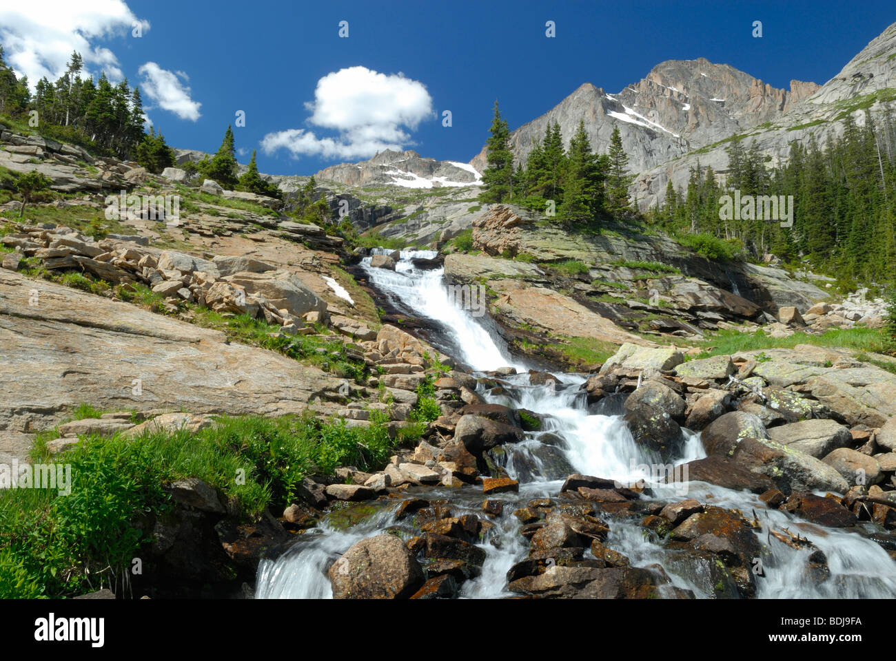 Chute d'alpin dans les Montagnes Rocheuses du Colorado Banque D'Images
