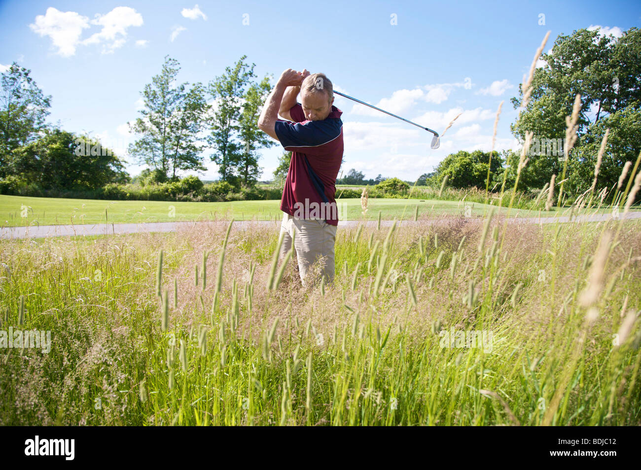 Man Golfing in Tall Grass Banque D'Images