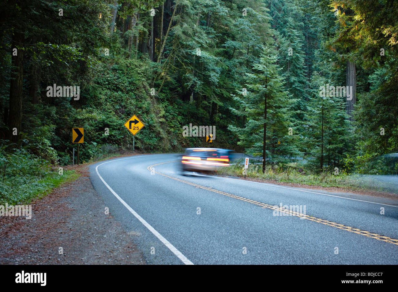 L'autoroute 199 par Jedediah Smith State Park, Californie du Nord, Californie, USA Banque D'Images