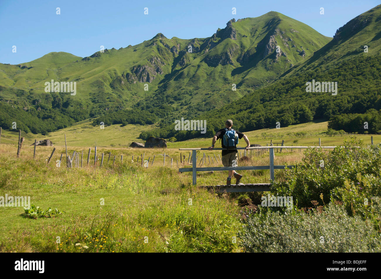 Walker dans le Massif du Sancy, région Auvergne, France. Banque D'Images