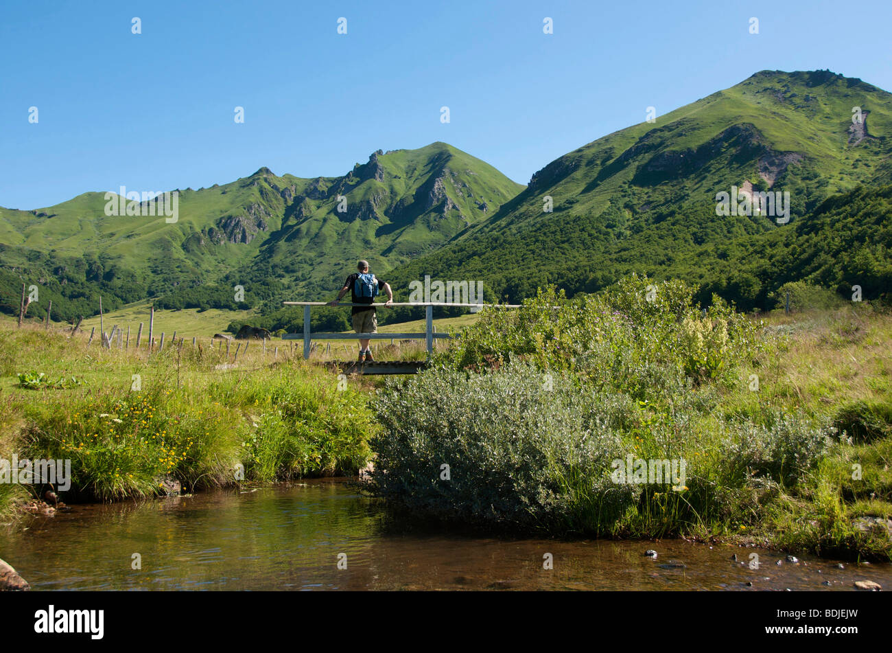 Walker dans le massif du Sancy. L'Auvergne. La France. Banque D'Images