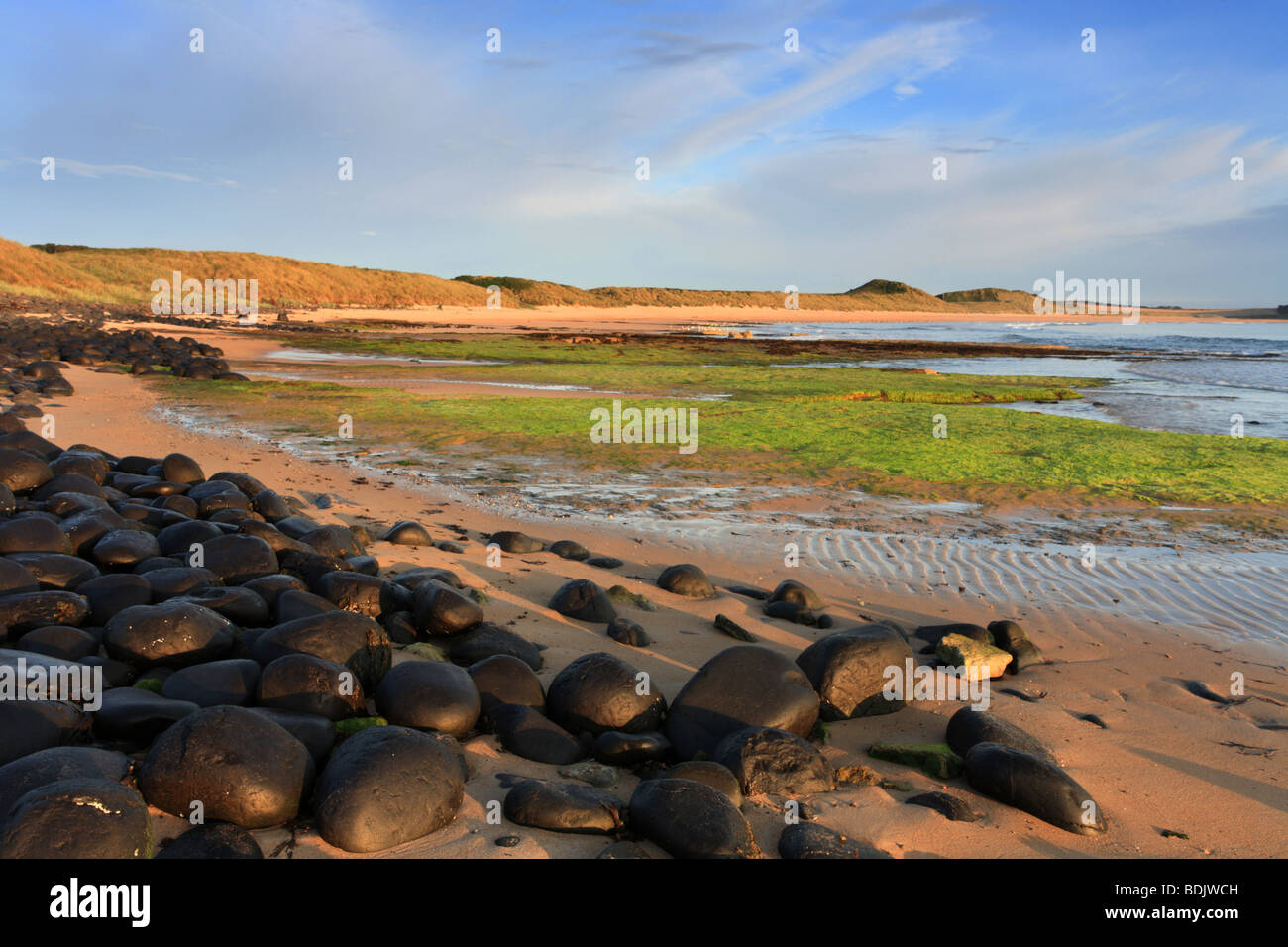 'Embleton bay' blocs de basalte au bord de la plage. Northumberland, UK Banque D'Images