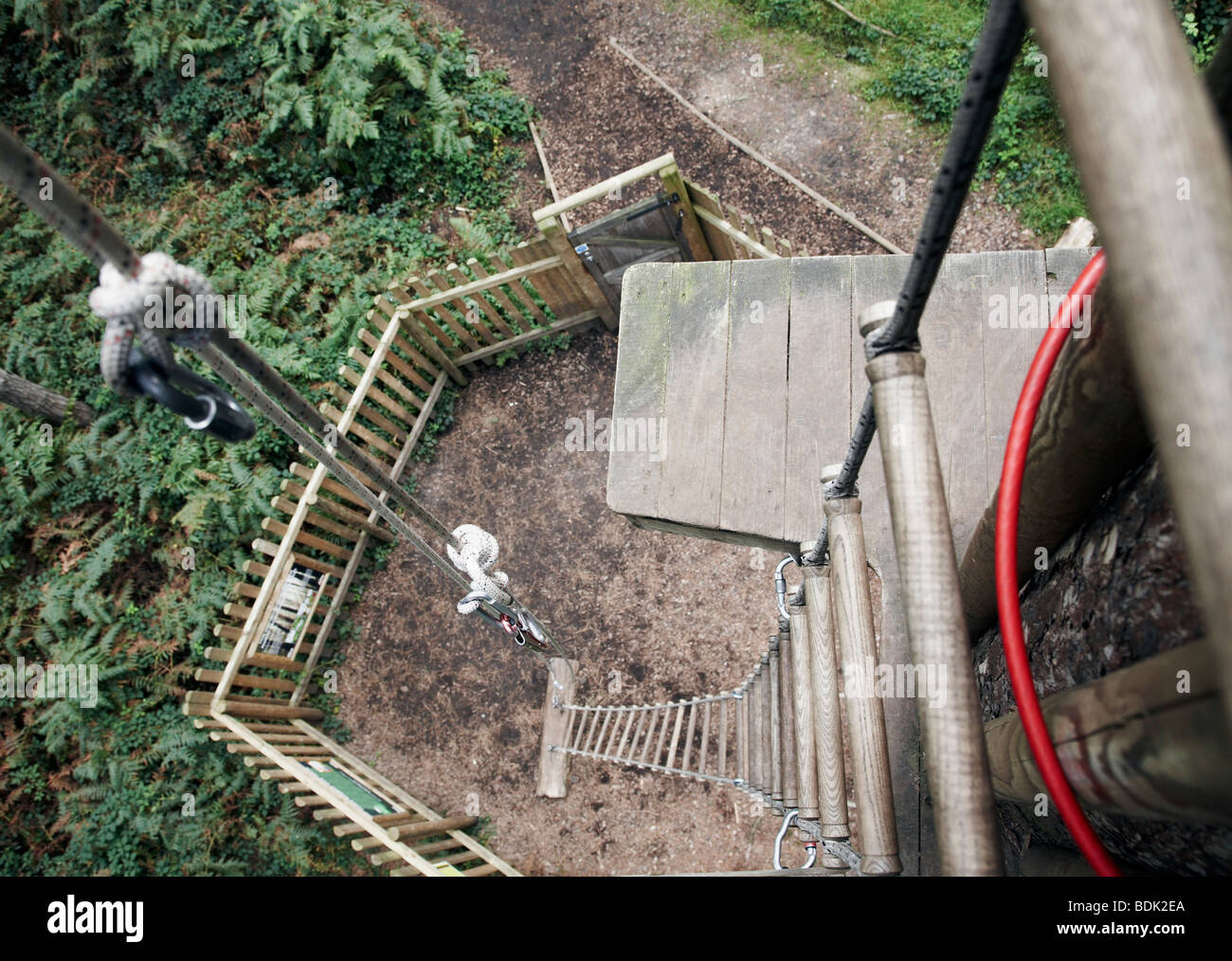 Regardant vers le bas sur une échelle de corde dans une forêt Banque D'Images