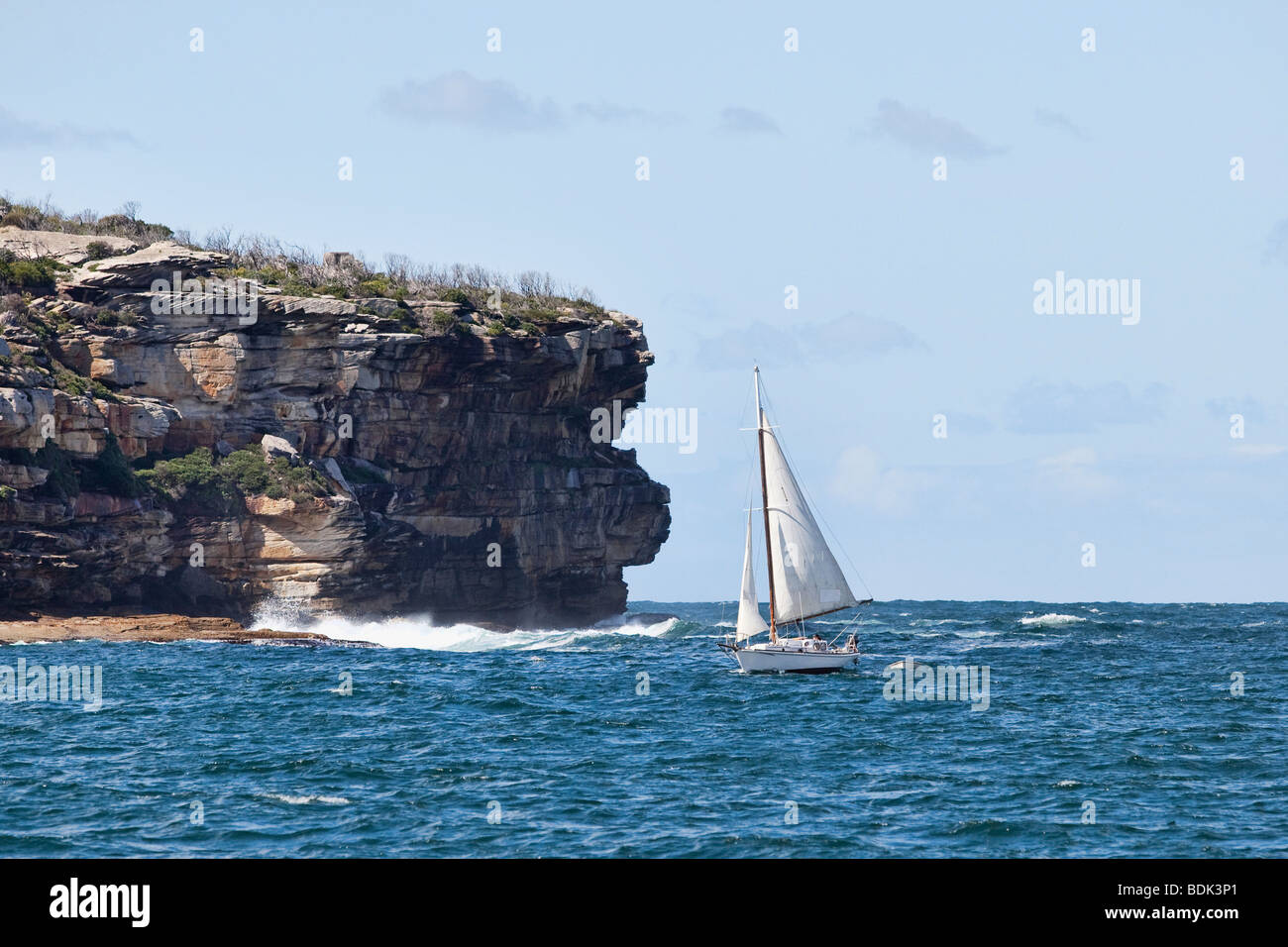 Petit bateau à voile dans le port de Sydney. Banque D'Images