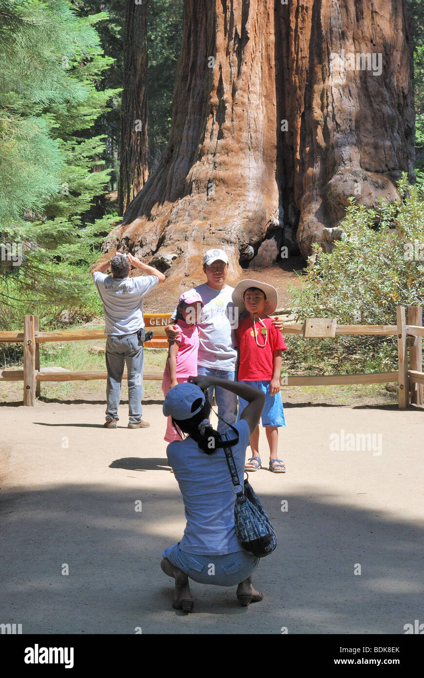 Les visiteurs posent pour une photo de famille devant le général Grant tree, l'arbre de Noël du pays, le Parc National Kings Canyon. Banque D'Images