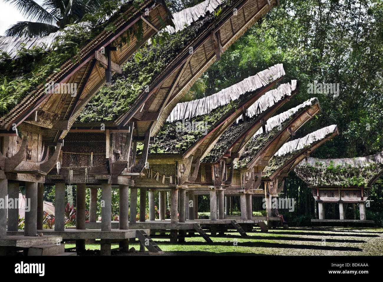 L'Indonésie, Sulawesi, Tana Toraja, Kete Kesu' village, maison traditionnelle appelée tongkonan Torajan Banque D'Images
