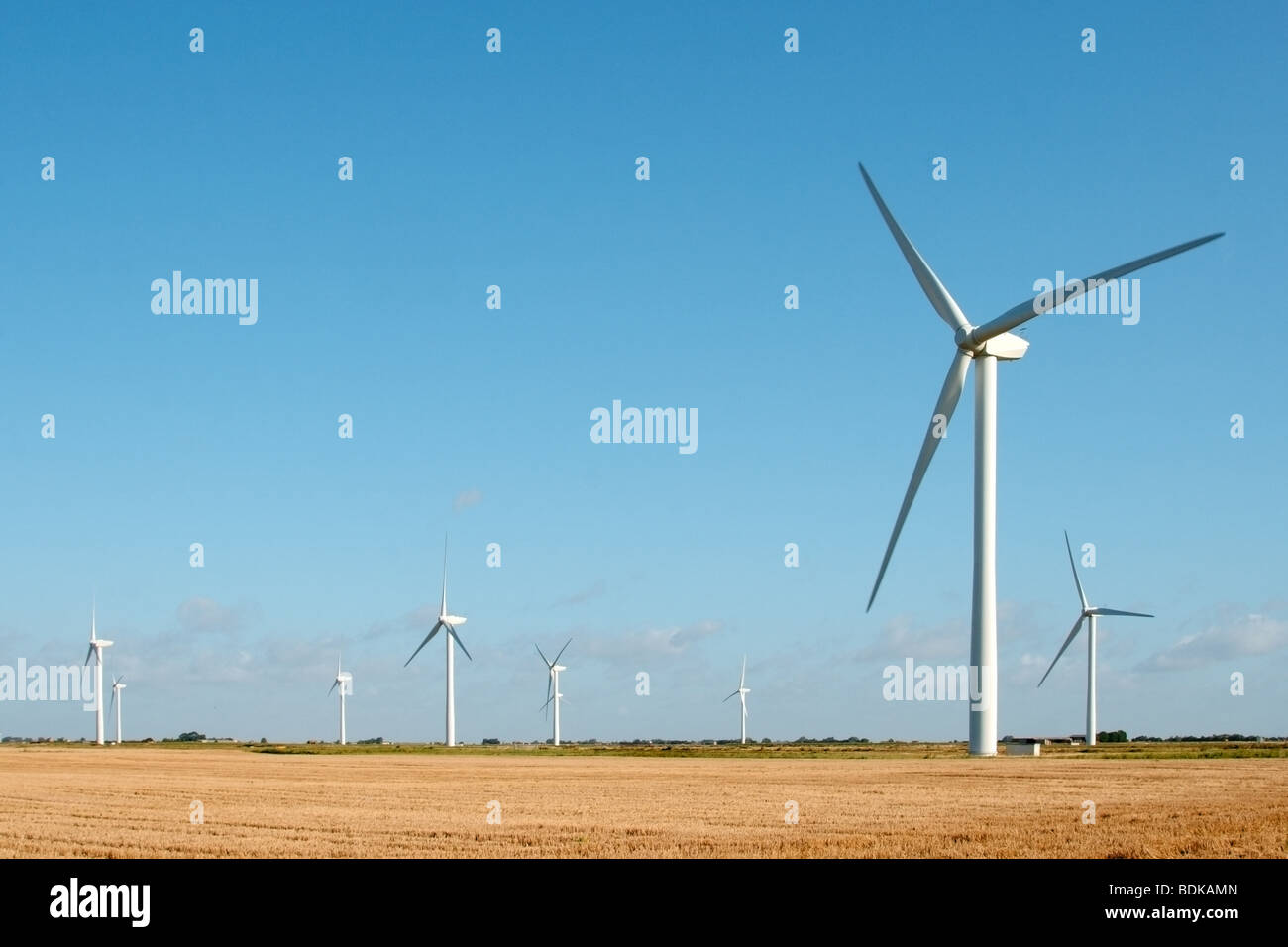 Une ferme éolienne de fenland against a blue sky Banque D'Images