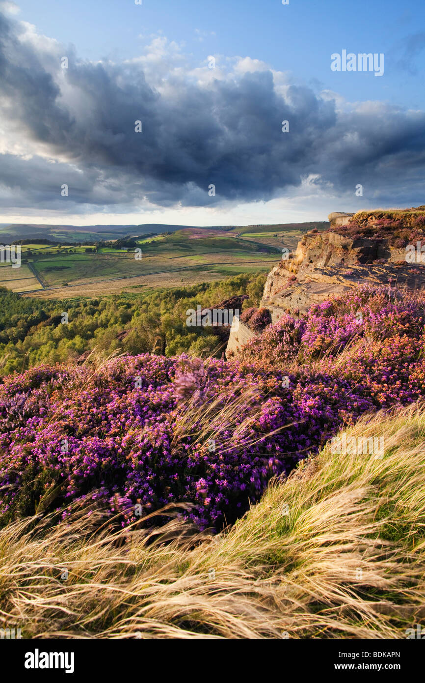 Millstone Edge sur Hathersage Moor dans le parc national de Peak District, Derbyshire, Angleterre, Royaume-Uni Banque D'Images