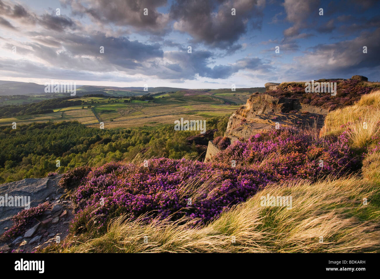 Millstone Edge sur Hathersage Moor dans le parc national de Peak District, Derbyshire, Angleterre, Royaume-Uni Banque D'Images