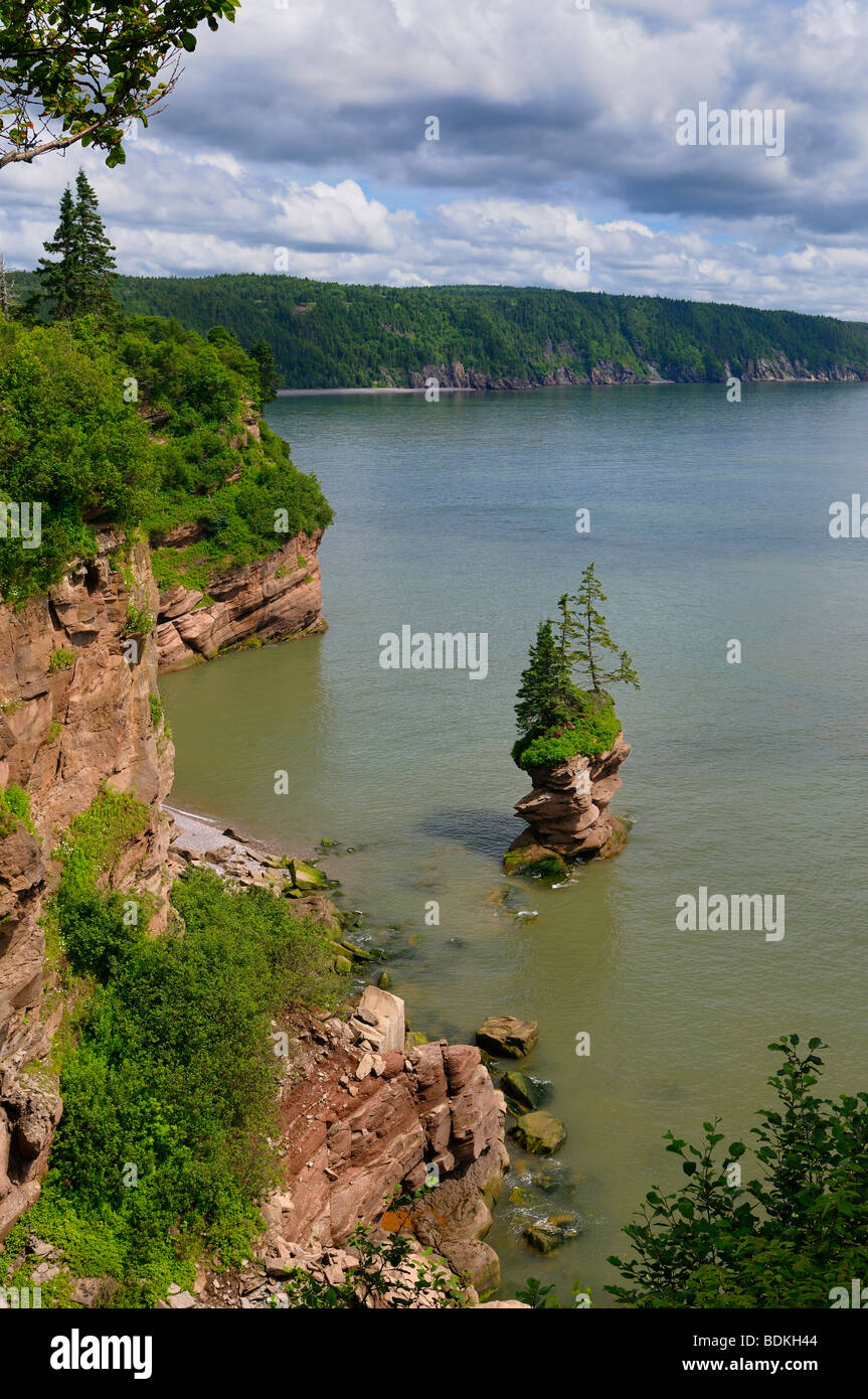 Cache-pot et rock sea cliff côte à fownes head lookout sur le sentier fundy Nouveau-Brunswick Banque D'Images