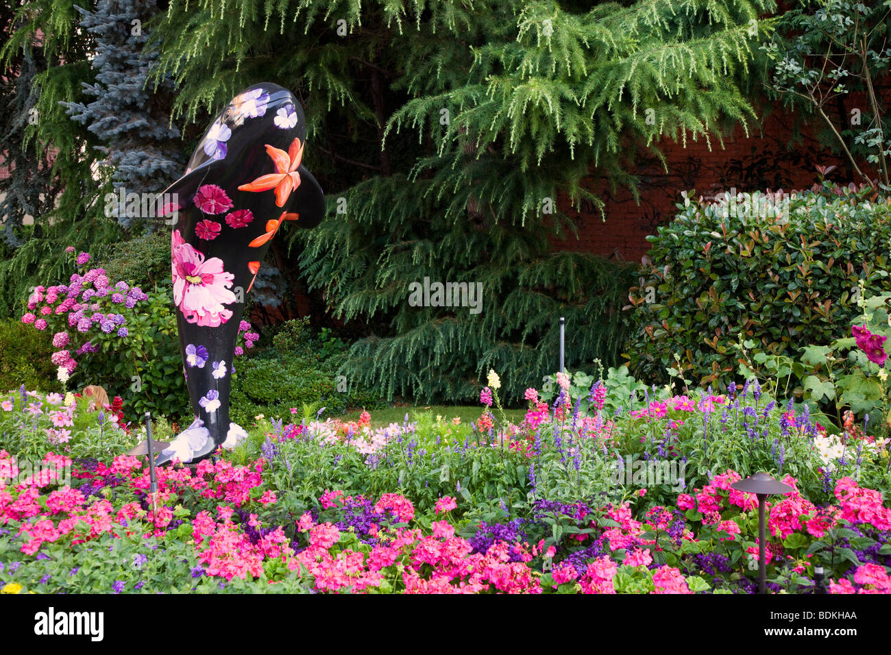 Les jardins de fleurs le long de l'arrière-port, centre-ville de Victoria, île de Vancouver, Colombie-Britannique, Canada Banque D'Images