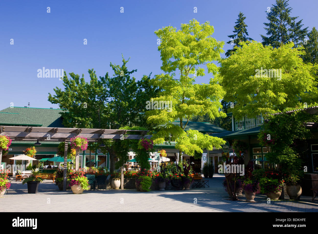 Les jardins Butchart, Victoria, île de Vancouver, Colombie-Britannique, Canada. Banque D'Images