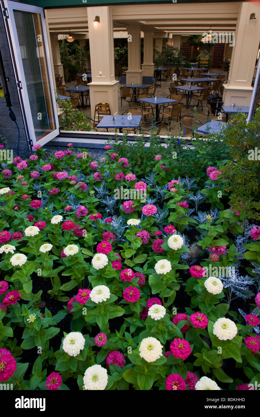 Le pavot bleu Restaurant du Butchart Gardens, Victoria, île de Vancouver, Colombie-Britannique, Canada. Banque D'Images