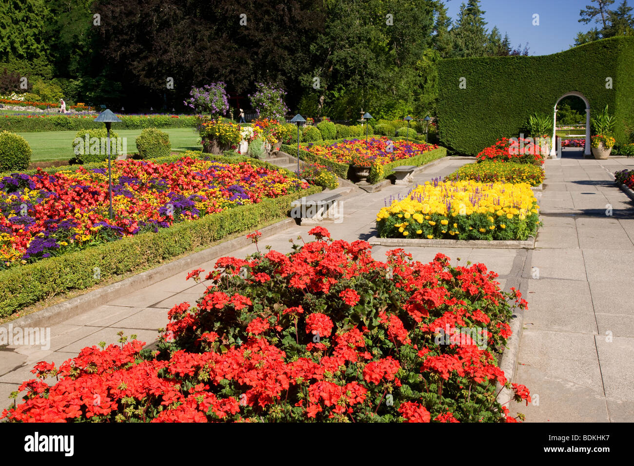 Jardin à l'italienne, les Jardins Butchart, Victoria, île de Vancouver, Colombie-Britannique, Canada. Banque D'Images