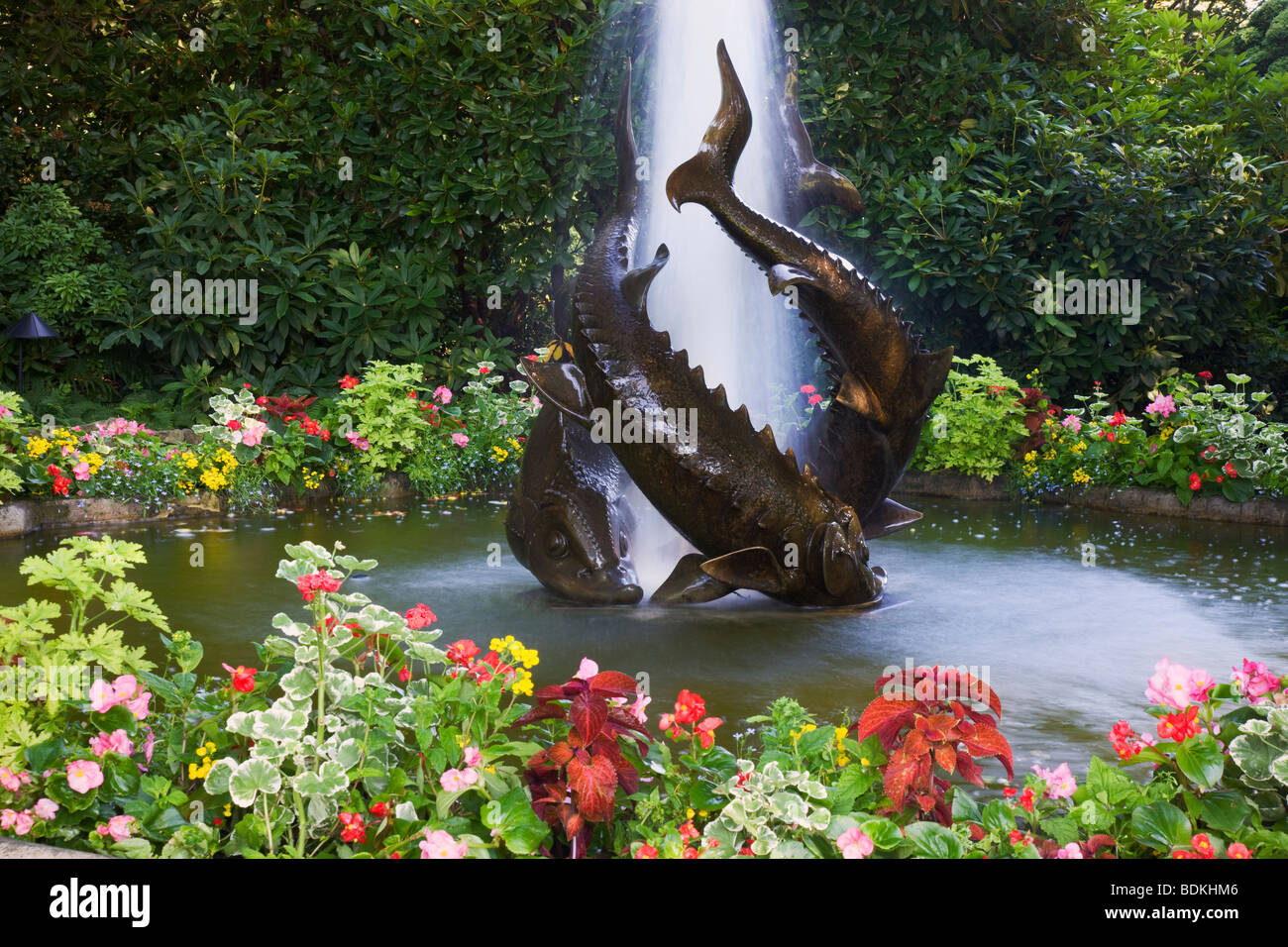 Fontaine d'esturgeons, les Jardins Butchart, Victoria, île de Vancouver, Colombie-Britannique, Canada. Banque D'Images